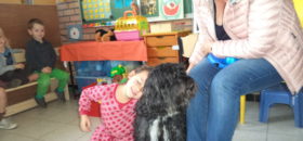 dieren (50)